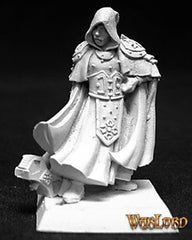 Sir Broderick, Crusaders Captain | Tacoma Games