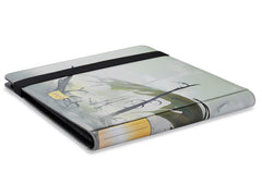 Dragon Shield Portfolio 576  – ‘Dashat’ | Tacoma Games