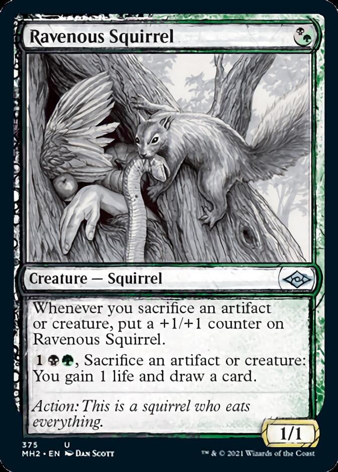 Ravenous Squirrel (Sketch) [Modern Horizons 2] | Tacoma Games