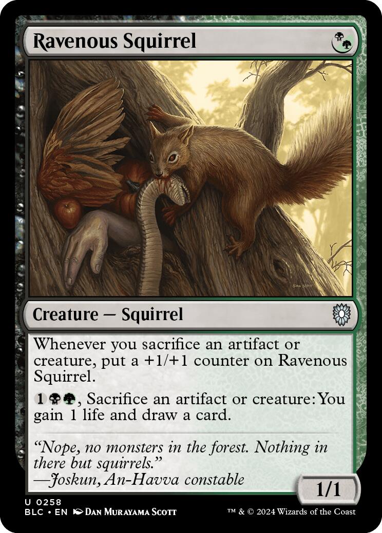 Ravenous Squirrel [Bloomburrow Commander] | Tacoma Games