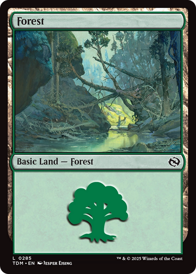 Forest (0285) [Tarkir: Dragonstorm] | Tacoma Games