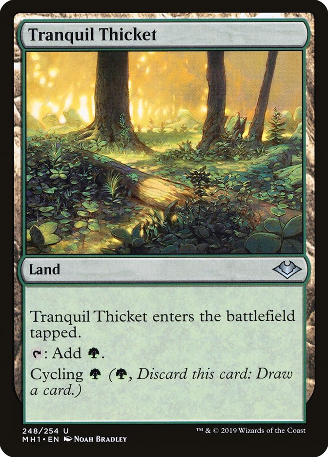 Tranquil Thicket [Modern Horizons] | Tacoma Games