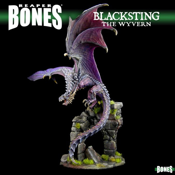 Blacksting the Wyvern | Tacoma Games