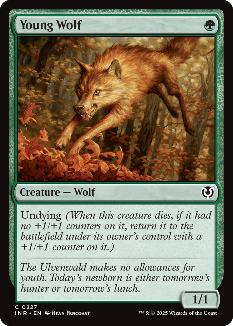 Young Wolf [Innistrad Remastered] | Tacoma Games