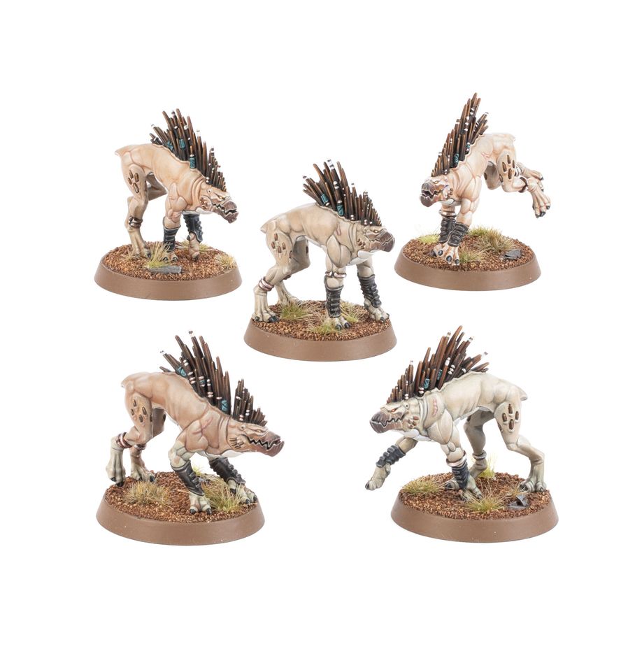 Kroot Hounds | Tacoma Games