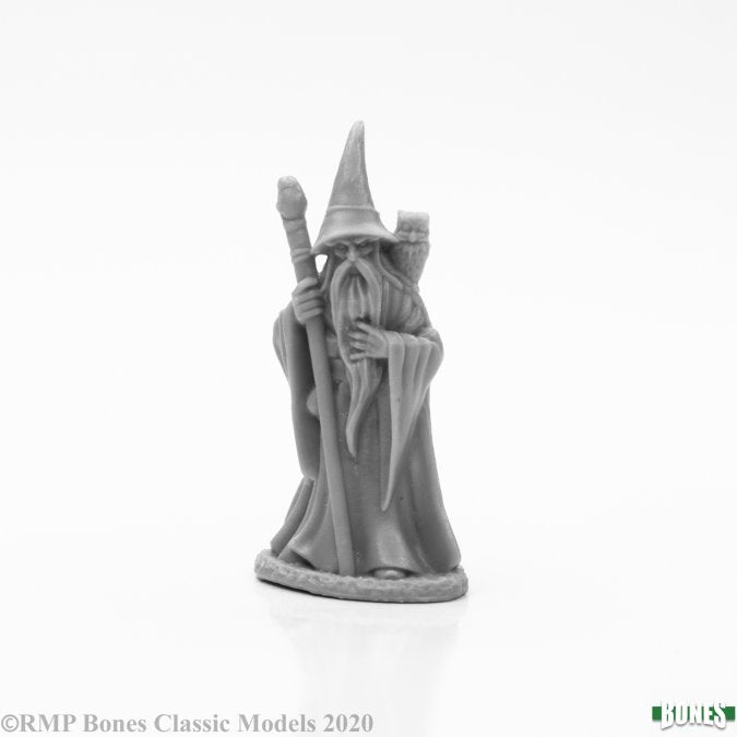 ANUMINAR WINTERBEARD, WIZARD | Tacoma Games