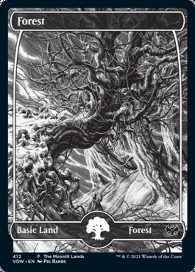 Forest (The Moonlit Lands) (Foil Etched) [Innistrad: Crimson Vow Promos] | Tacoma Games