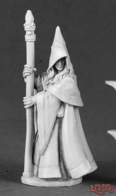 Anirion, Wood Elf Wizard | Tacoma Games