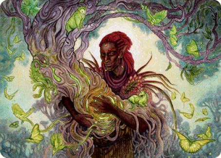 Circle of Dreams Druid Art Card [Dungeons & Dragons: Adventures in the Forgotten Realms Art Series] | Tacoma Games