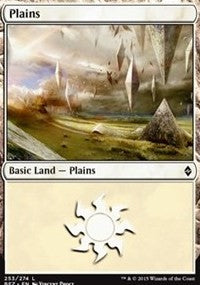 Plains (253) [Battle for Zendikar] | Tacoma Games