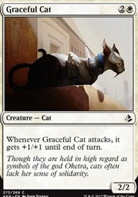 Graceful Cat [Amonkhet] | Tacoma Games