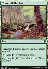 Tranquil Thicket [Commander 2017] | Tacoma Games