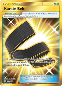 Karate Belt (Secret) (252/236) [SM - Unified Minds] | Tacoma Games