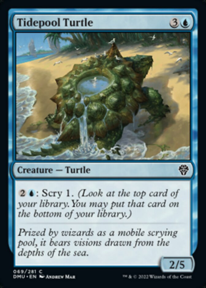 Tidepool Turtle [Dominaria United] | Tacoma Games