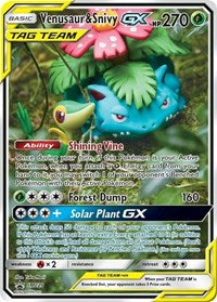 Venusaur & Snivy GX - SM229 (SM229) [SM Promos] | Tacoma Games