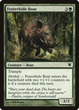 Festerhide Boar [Innistrad] | Tacoma Games