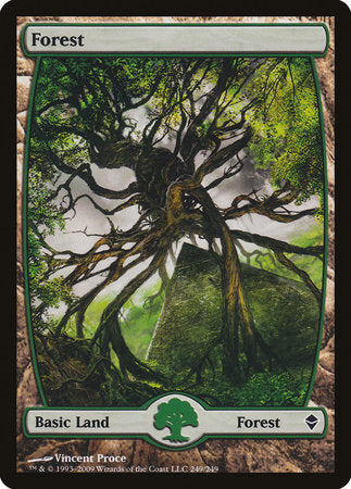 Forest (249) - Full Art [Zendikar] | Tacoma Games