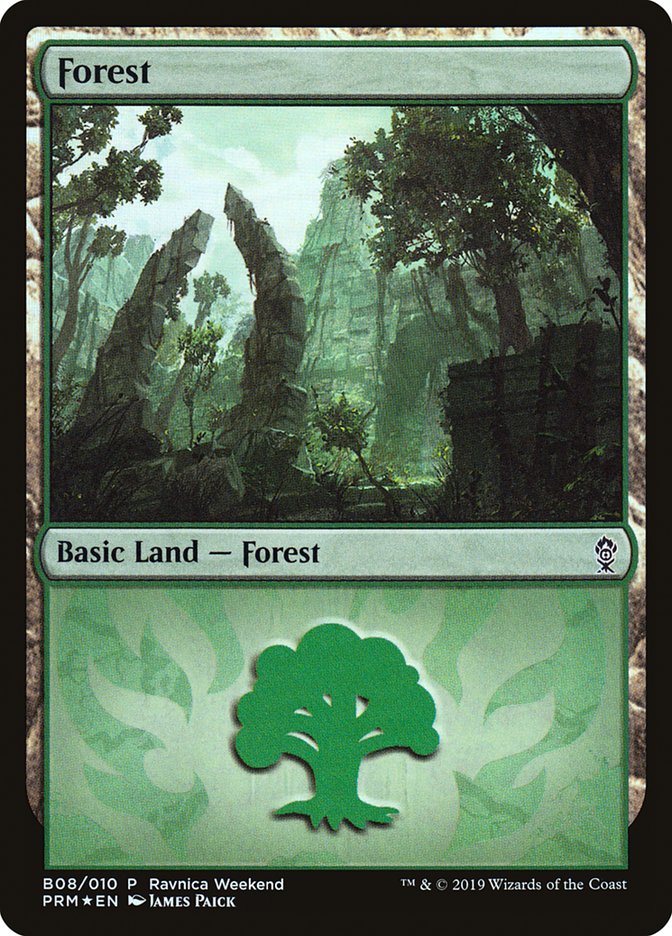 Forest (B08) [Ravnica Allegiance Guild Kit] | Tacoma Games