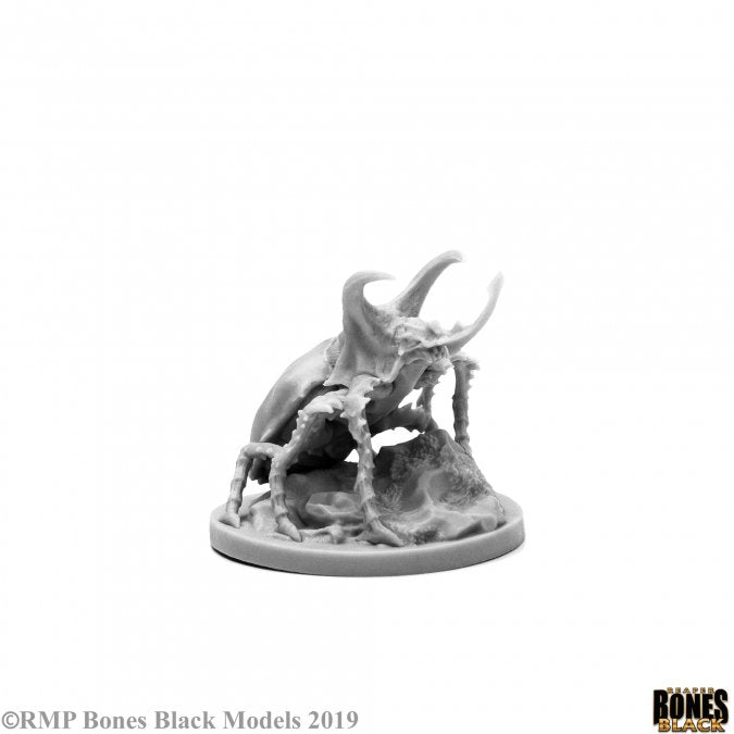 Giant Rhino Beetle | Tacoma Games