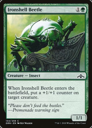 Ironshell Beetle [Guilds of Ravnica] | Tacoma Games