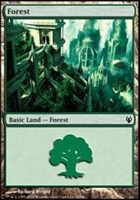 Forest (90) [Duel Decks: Izzet vs. Golgari] | Tacoma Games