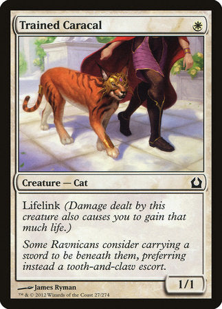 Trained Caracal [Return to Ravnica] | Tacoma Games