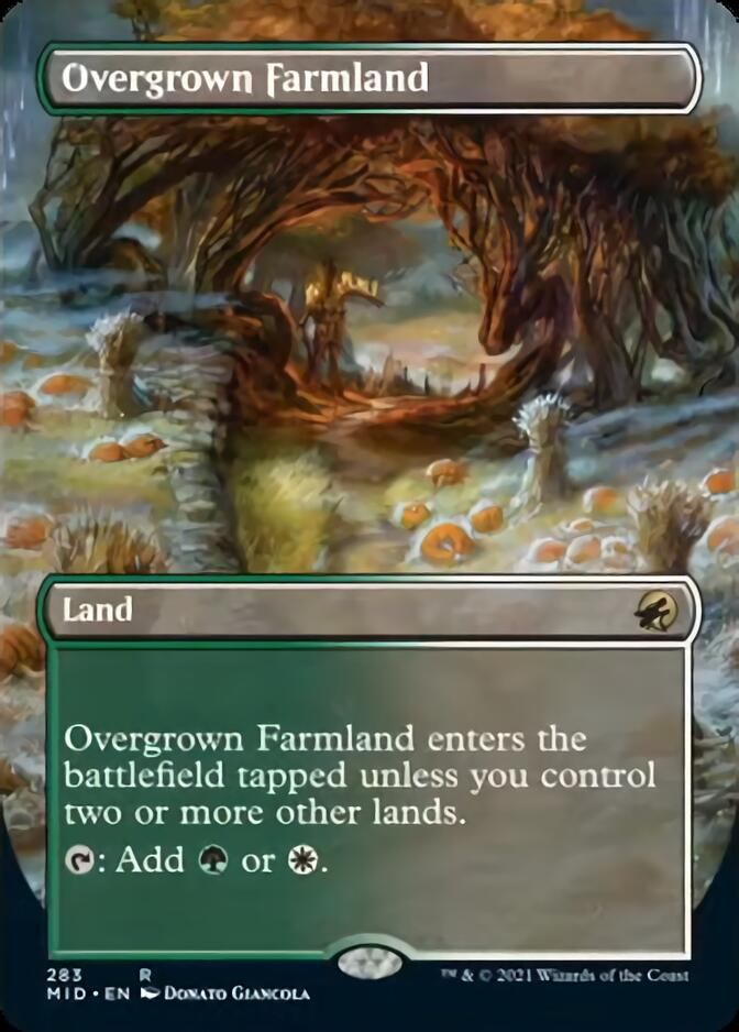 Overgrown Farmland (Borderless) [Innistrad: Midnight Hunt] | Tacoma Games