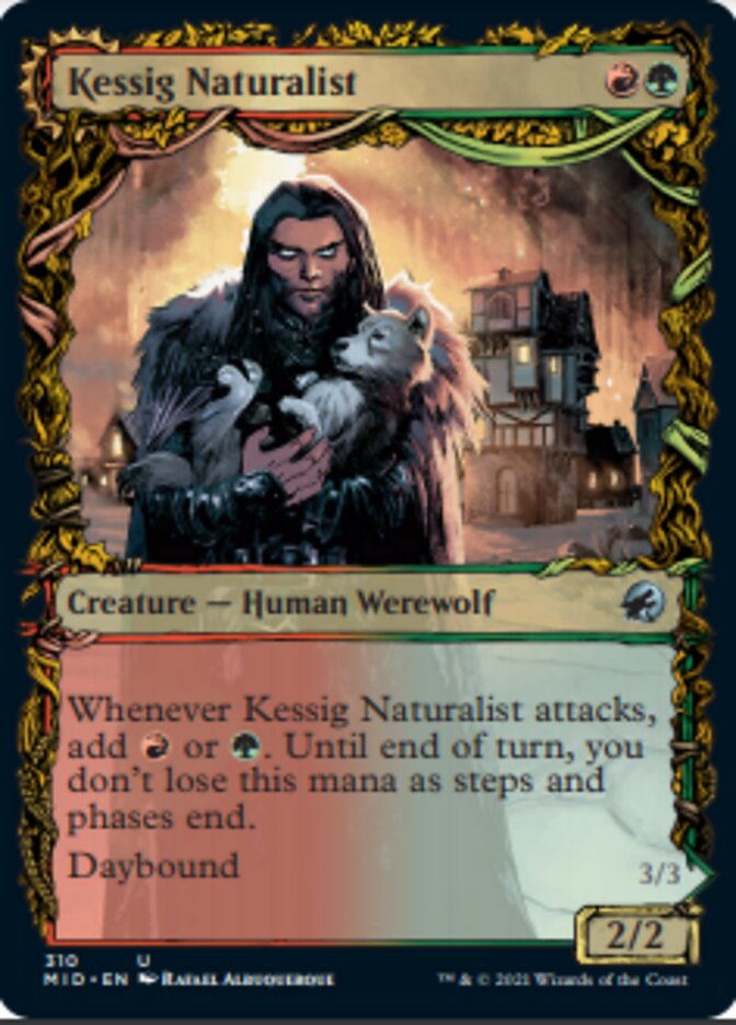 Kessig Naturalist // Lord of the Ulvenwald (Showcase Equinox) [Innistrad: Midnight Hunt] | Tacoma Games