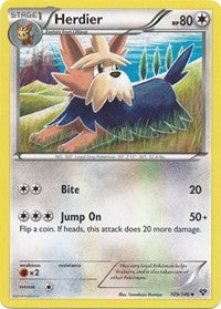 Herdier (109) [XY Base Set] | Tacoma Games