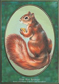 Squirrel Token [Unglued Tokens] | Tacoma Games