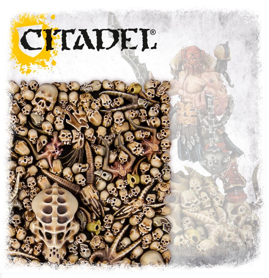 Citadel Skulls | Tacoma Games