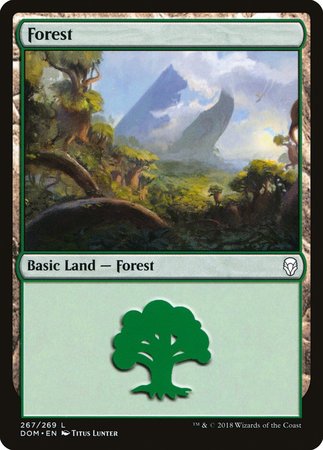 Forest (267) [Dominaria] | Tacoma Games