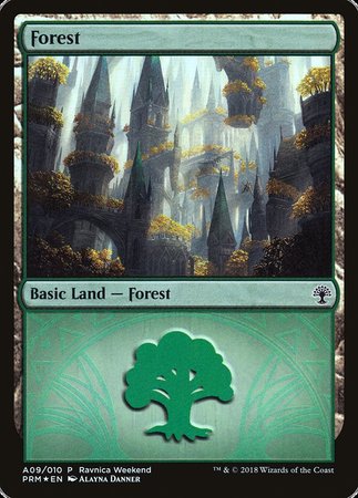 Forest - Selesnya (A09) [GRN Ravnica Weekend] | Tacoma Games