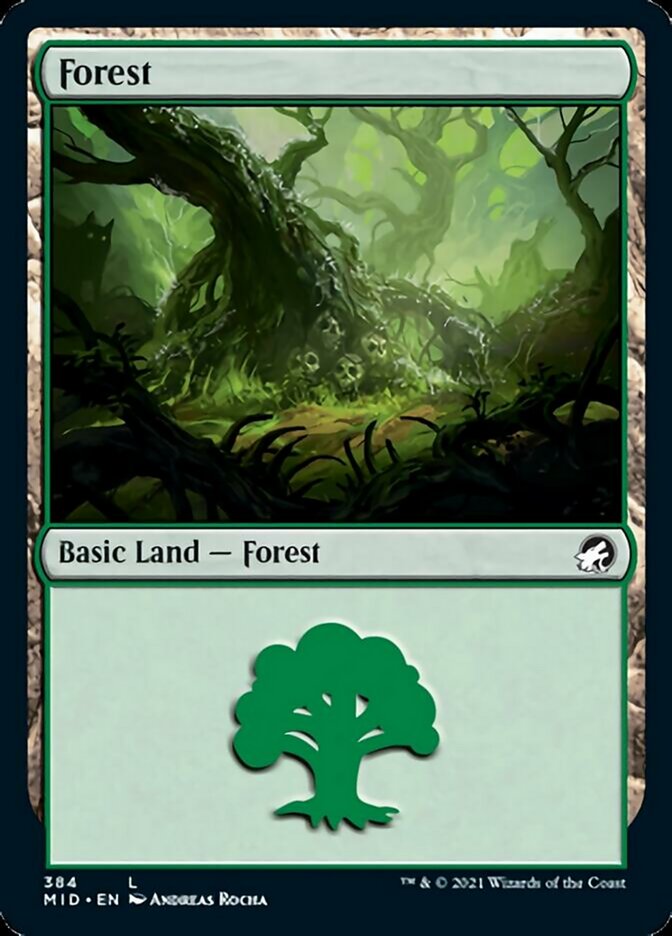 Forest (384) [Innistrad: Midnight Hunt] | Tacoma Games