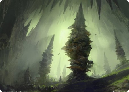 Forest (280) Art Card [Dungeons & Dragons: Adventures in the Forgotten Realms Art Series] | Tacoma Games