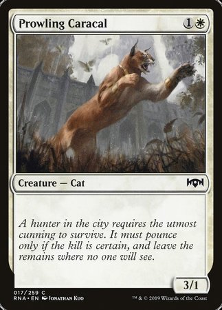 Prowling Caracal [Ravnica Allegiance] | Tacoma Games