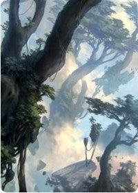 Forest 1 Art Card [Zendikar Rising Art Series] | Tacoma Games