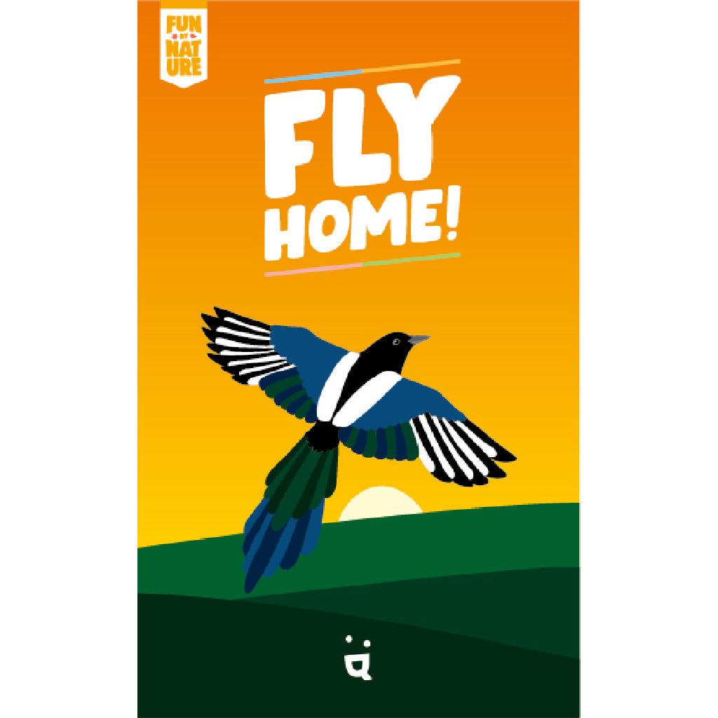 Fly Home! | Tacoma Games